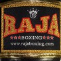 Raja Boxing RJB-P5 Боксерские Перчатки Тайский Бокс "Alka" Black Chocolate